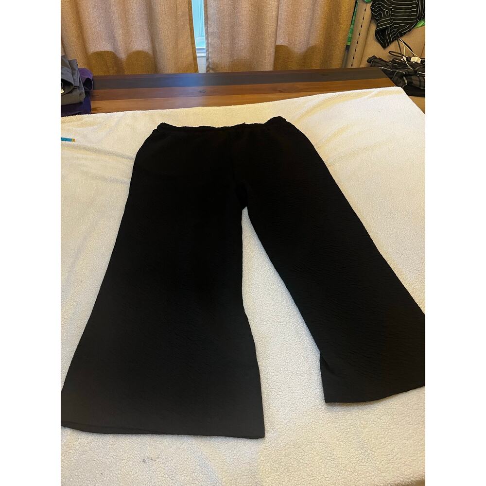 NWT See And Be Seen Women’s textured cropped pants size 3x